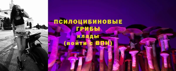 стафф Алексин