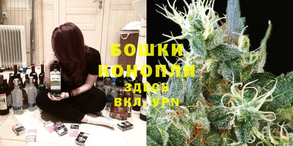 стафф Алексин