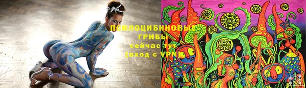 стафф Алексин