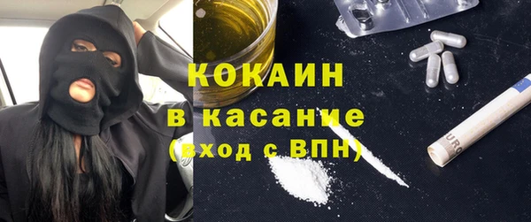 стафф Алексин