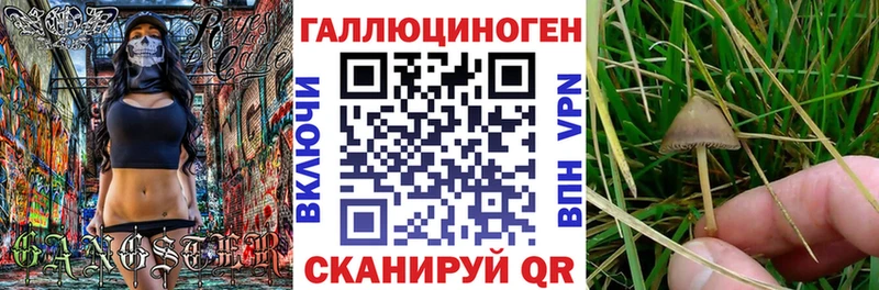 Галлюциногенные грибы Psilocybine cubensis даркнет сайт МЕГА зеркало Заволжск